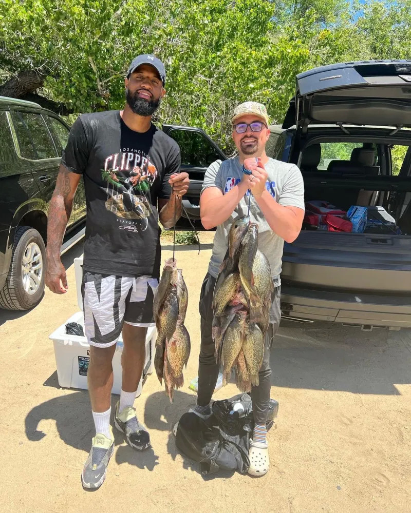 众不同的 众不同的