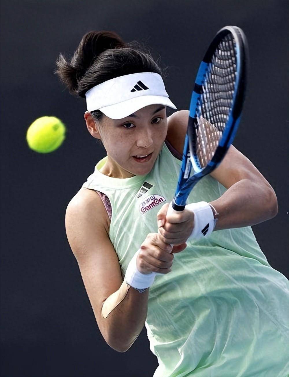 布季米尔双 布季米尔双