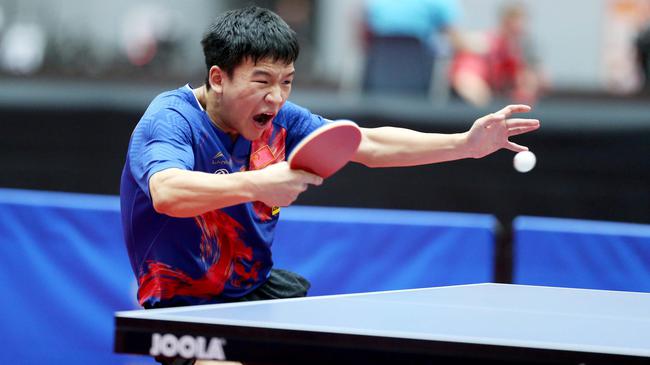 对勇士赛季 对勇士赛季