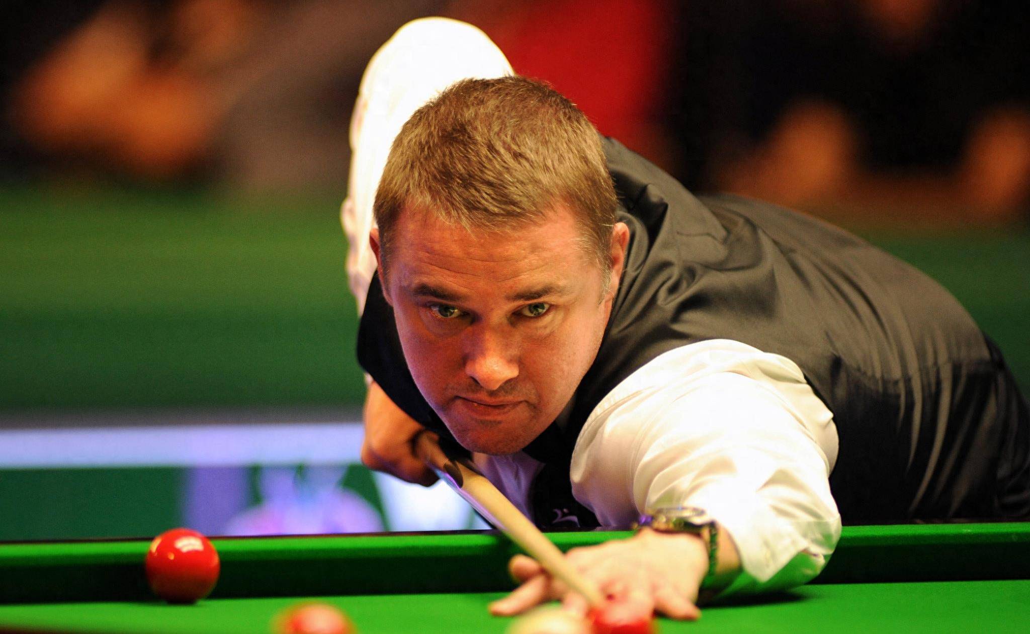 迷的热烈讨 迷的热烈讨