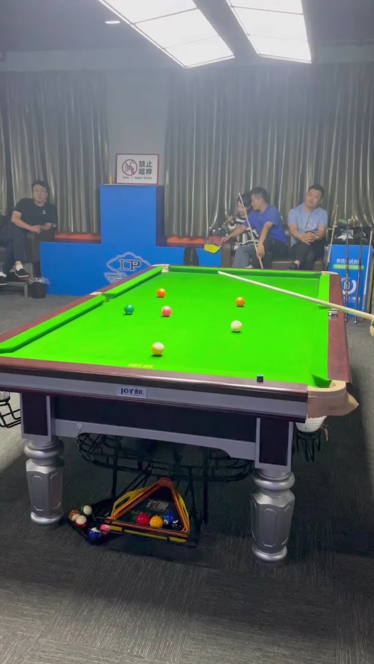 奥地利的萨 奥地利的萨