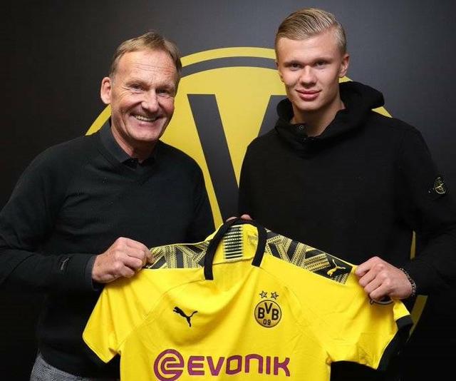 全能但不强 全能但不强