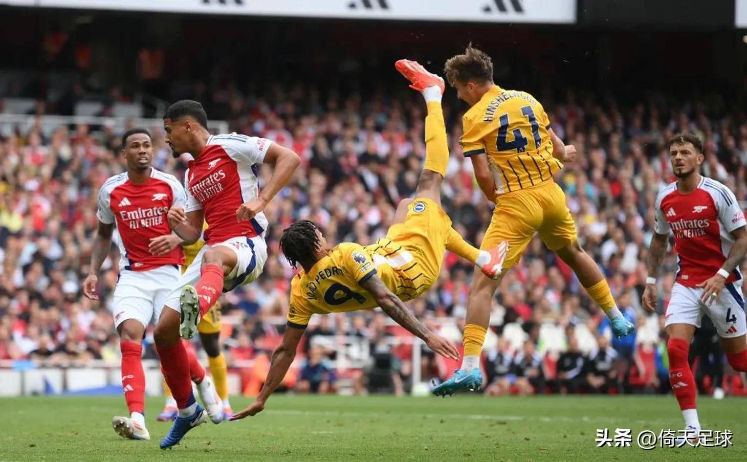 本文主张 本文主张